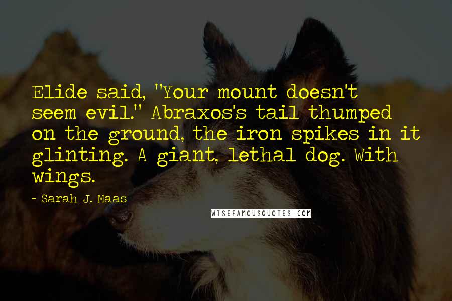 Sarah J. Maas Quotes: Elide said, "Your mount doesn't seem evil." Abraxos's tail thumped on the ground, the iron spikes in it glinting. A giant, lethal dog. With wings.