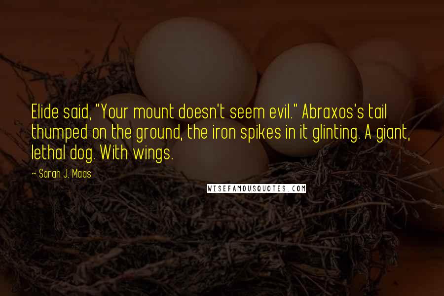 Sarah J. Maas Quotes: Elide said, "Your mount doesn't seem evil." Abraxos's tail thumped on the ground, the iron spikes in it glinting. A giant, lethal dog. With wings.