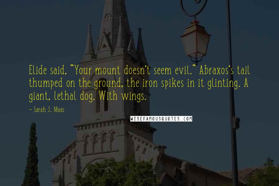 Sarah J. Maas Quotes: Elide said, "Your mount doesn't seem evil." Abraxos's tail thumped on the ground, the iron spikes in it glinting. A giant, lethal dog. With wings.