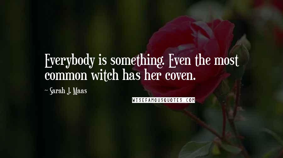 Sarah J. Maas Quotes: Everybody is something. Even the most common witch has her coven.