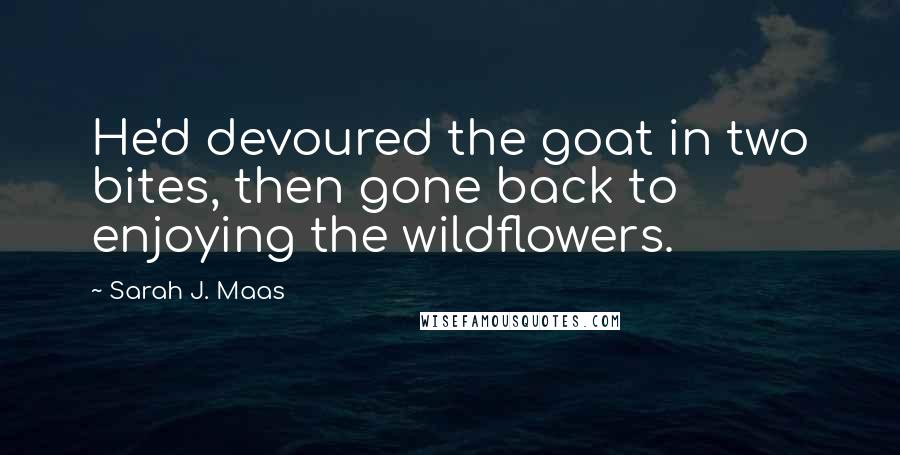 Sarah J. Maas Quotes: He'd devoured the goat in two bites, then gone back to enjoying the wildflowers.