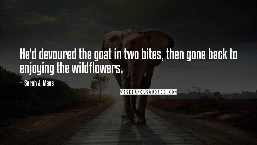 Sarah J. Maas Quotes: He'd devoured the goat in two bites, then gone back to enjoying the wildflowers.