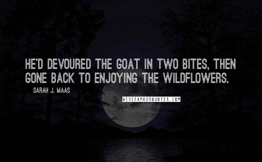 Sarah J. Maas Quotes: He'd devoured the goat in two bites, then gone back to enjoying the wildflowers.