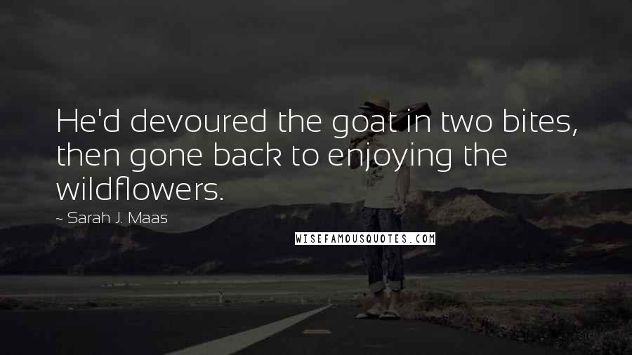 Sarah J. Maas Quotes: He'd devoured the goat in two bites, then gone back to enjoying the wildflowers.