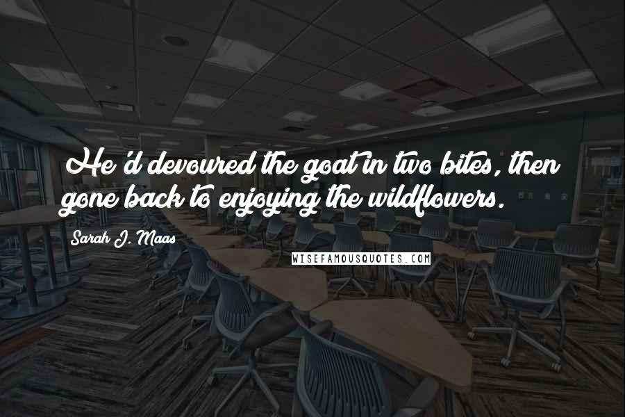 Sarah J. Maas Quotes: He'd devoured the goat in two bites, then gone back to enjoying the wildflowers.