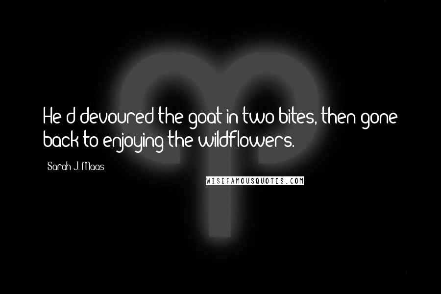 Sarah J. Maas Quotes: He'd devoured the goat in two bites, then gone back to enjoying the wildflowers.