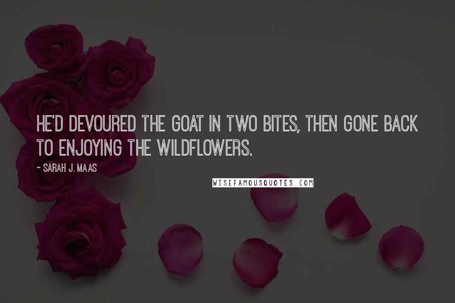 Sarah J. Maas Quotes: He'd devoured the goat in two bites, then gone back to enjoying the wildflowers.