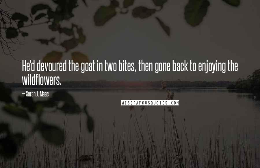 Sarah J. Maas Quotes: He'd devoured the goat in two bites, then gone back to enjoying the wildflowers.