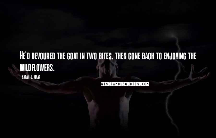 Sarah J. Maas Quotes: He'd devoured the goat in two bites, then gone back to enjoying the wildflowers.