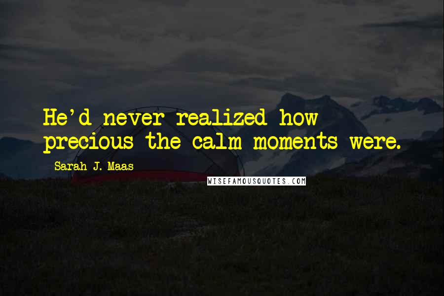 Sarah J. Maas Quotes: He'd never realized how precious the calm moments were.
