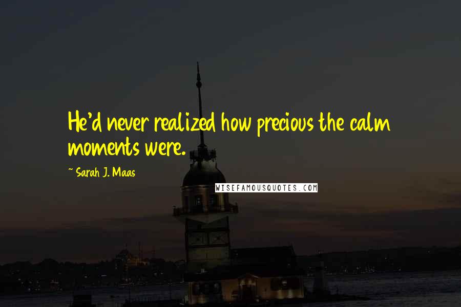 Sarah J. Maas Quotes: He'd never realized how precious the calm moments were.