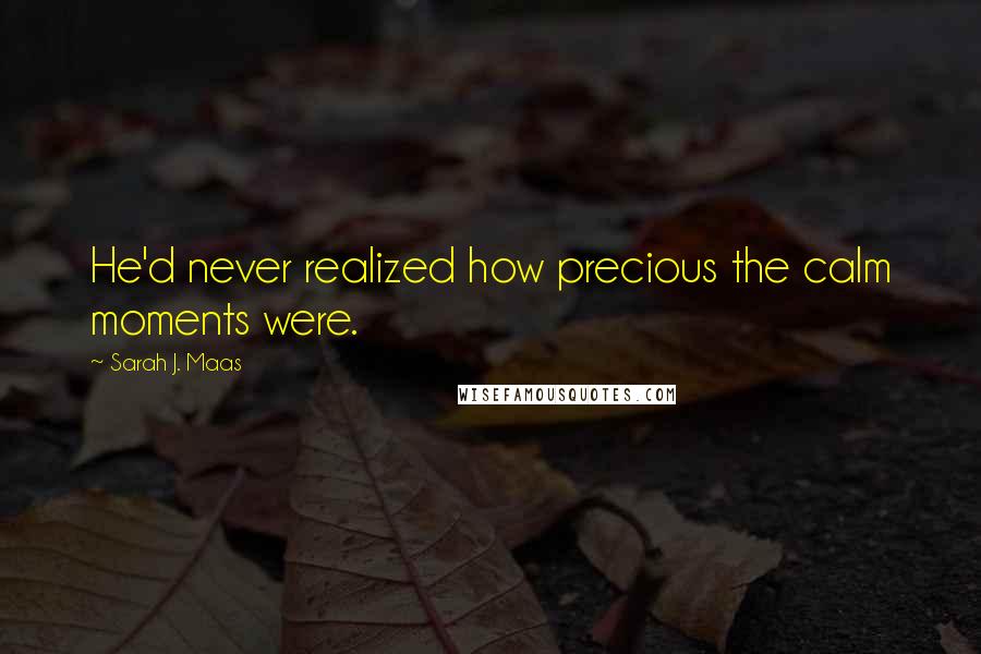 Sarah J. Maas Quotes: He'd never realized how precious the calm moments were.