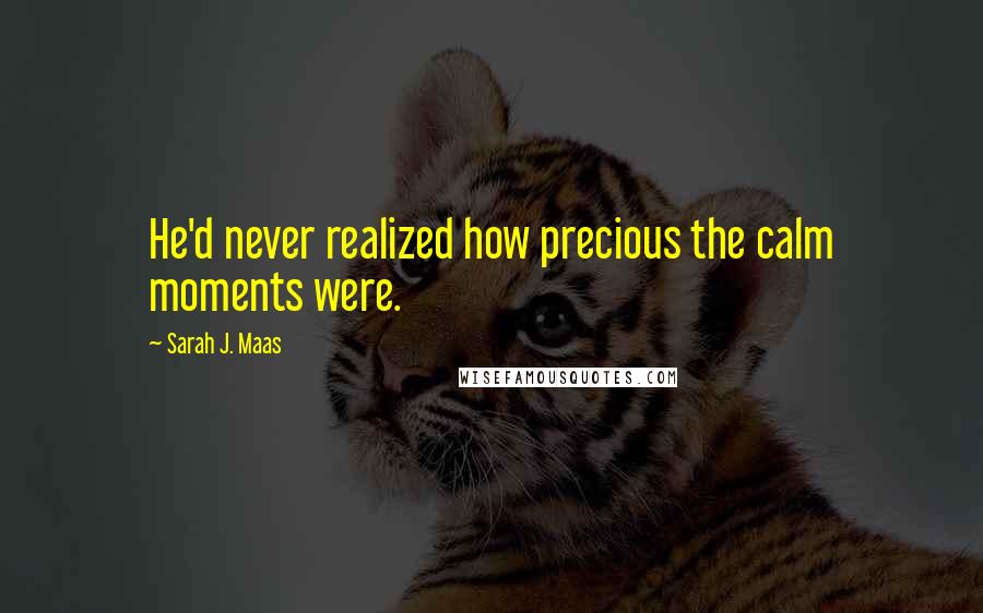 Sarah J. Maas Quotes: He'd never realized how precious the calm moments were.