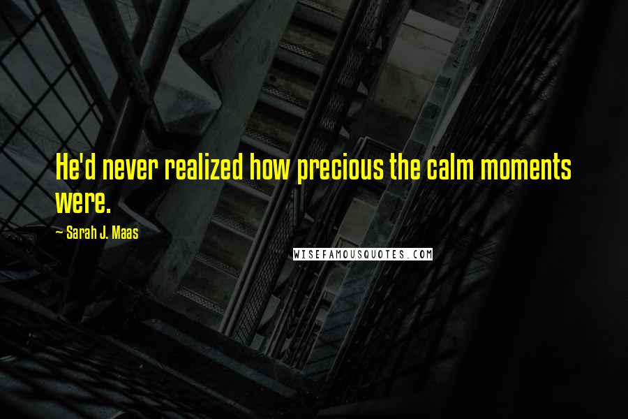 Sarah J. Maas Quotes: He'd never realized how precious the calm moments were.