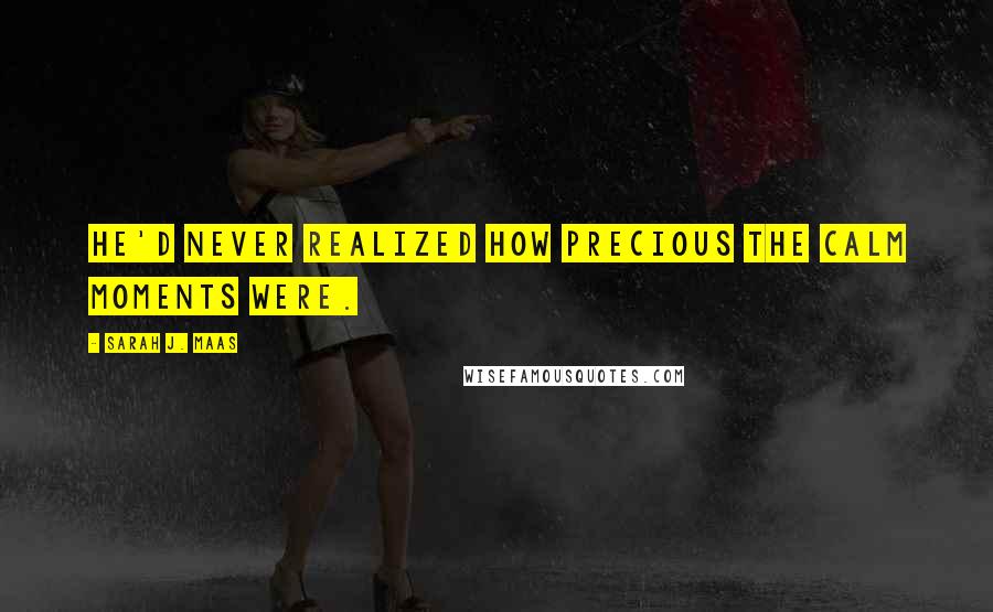 Sarah J. Maas Quotes: He'd never realized how precious the calm moments were.