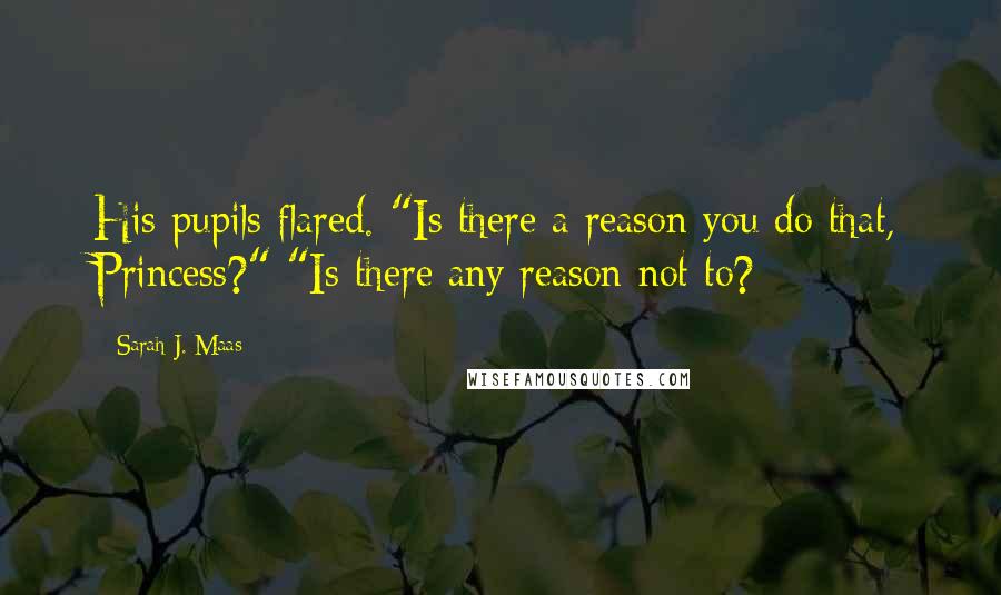 Sarah J. Maas Quotes: His pupils flared. "Is there a reason you do that, Princess?" "Is there any reason not to?