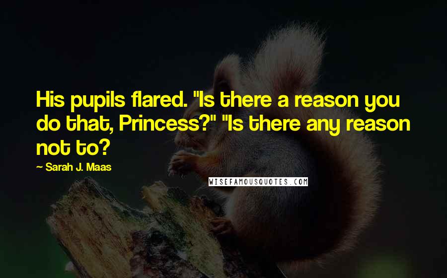 Sarah J. Maas Quotes: His pupils flared. "Is there a reason you do that, Princess?" "Is there any reason not to?