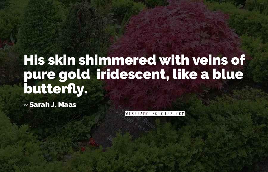 Sarah J. Maas Quotes: His skin shimmered with veins of pure gold iridescent, like a blue butterfly.