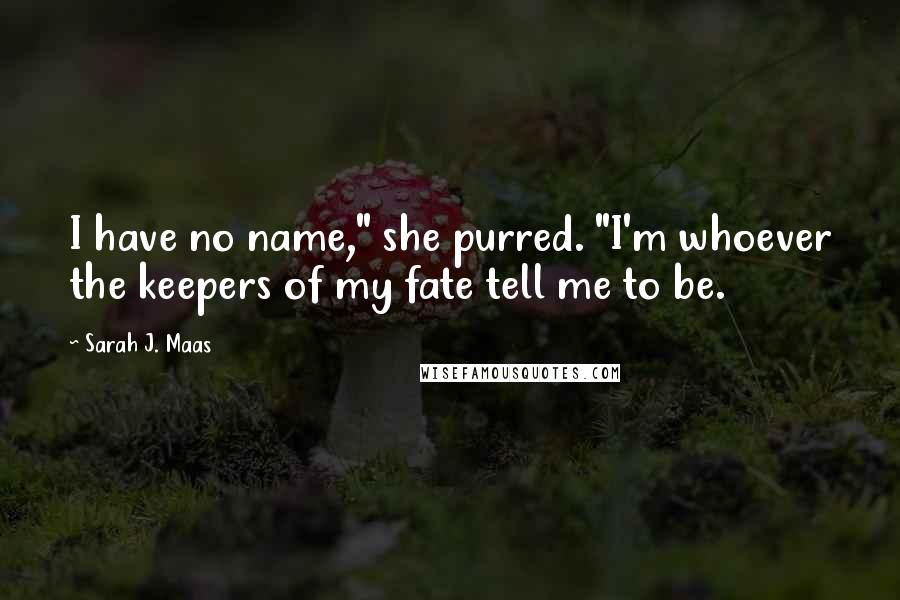 Sarah J. Maas Quotes: I have no name," she purred. "I'm whoever the keepers of my fate tell me to be.