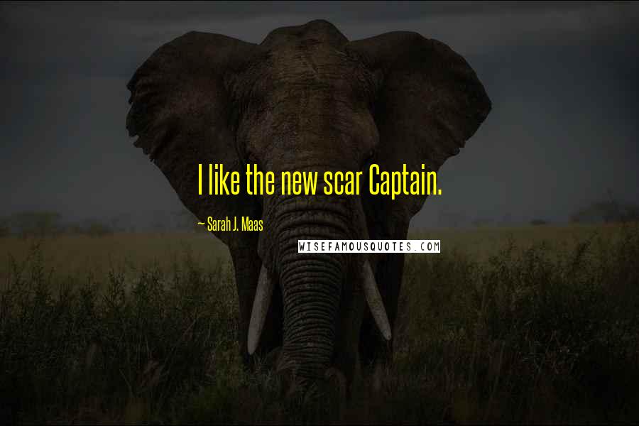 Sarah J. Maas Quotes: I like the new scar Captain.