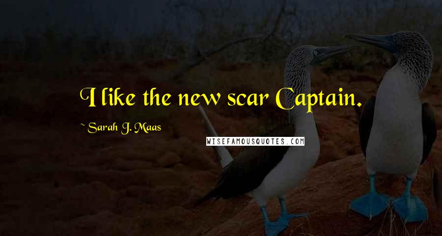 Sarah J. Maas Quotes: I like the new scar Captain.