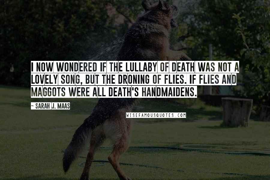 Sarah J. Maas Quotes: I now wondered if the lullaby of death was not a lovely song, but the droning of flies. If flies and maggots were all Death's handmaidens.