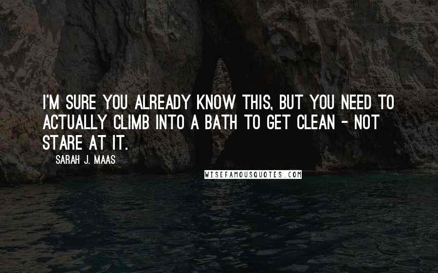 Sarah J. Maas Quotes: I'm sure you already know this, but you need to actually climb into a bath to get clean - not stare at it.