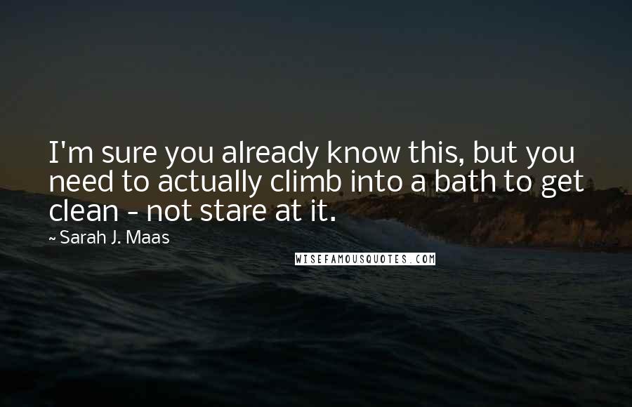 Sarah J. Maas Quotes: I'm sure you already know this, but you need to actually climb into a bath to get clean - not stare at it.