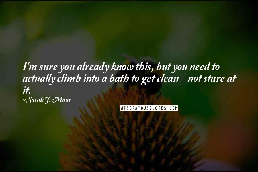 Sarah J. Maas Quotes: I'm sure you already know this, but you need to actually climb into a bath to get clean - not stare at it.