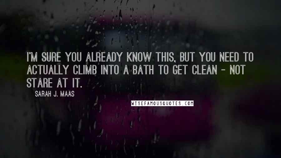 Sarah J. Maas Quotes: I'm sure you already know this, but you need to actually climb into a bath to get clean - not stare at it.