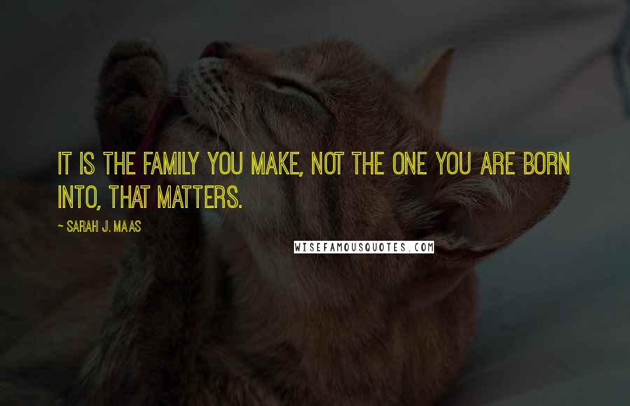 Sarah J. Maas Quotes: it is the family you make, not the one you are born into, that matters.