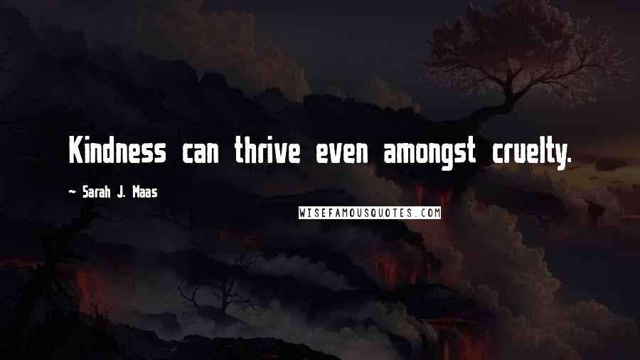 Sarah J. Maas Quotes: Kindness can thrive even amongst cruelty.