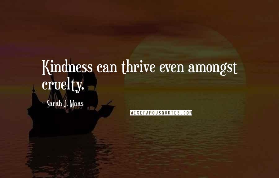 Sarah J. Maas Quotes: Kindness can thrive even amongst cruelty.