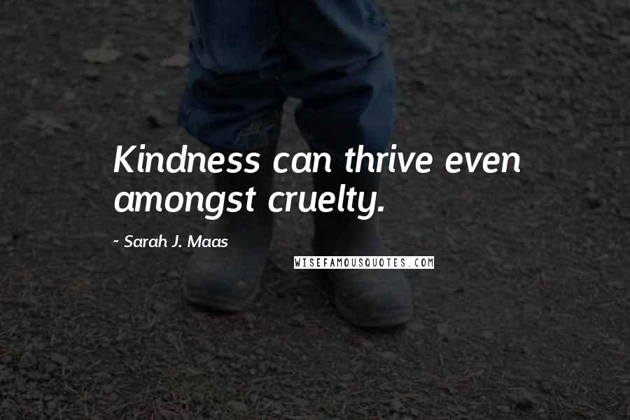 Sarah J. Maas Quotes: Kindness can thrive even amongst cruelty.