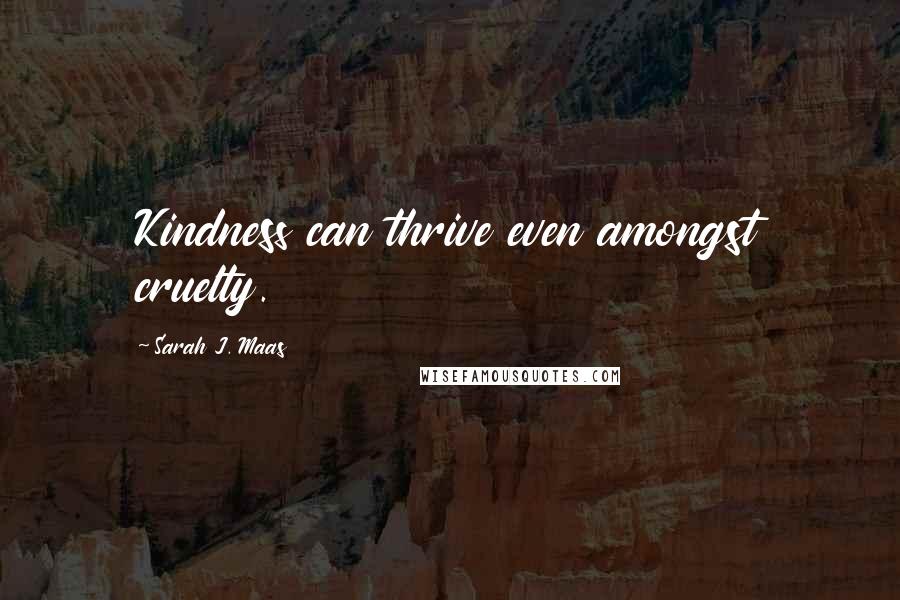 Sarah J. Maas Quotes: Kindness can thrive even amongst cruelty.