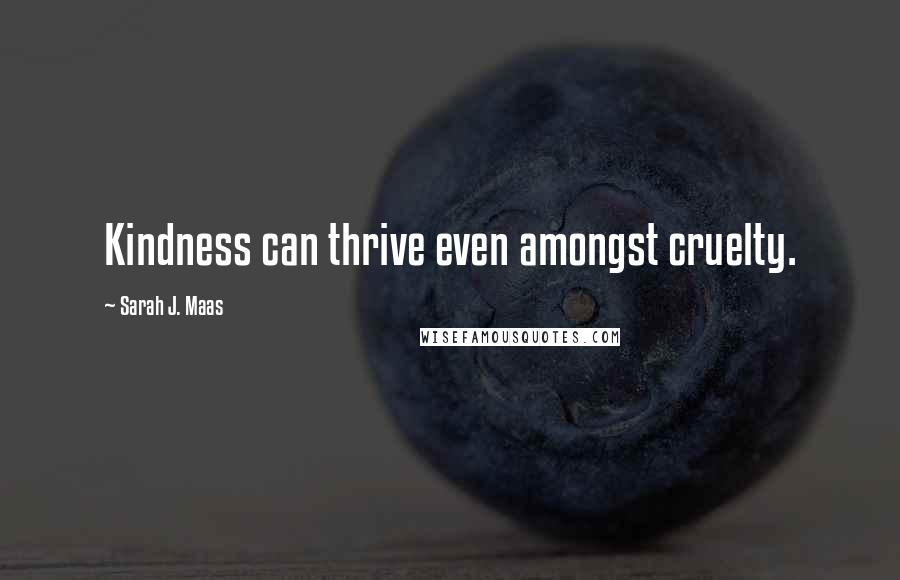 Sarah J. Maas Quotes: Kindness can thrive even amongst cruelty.