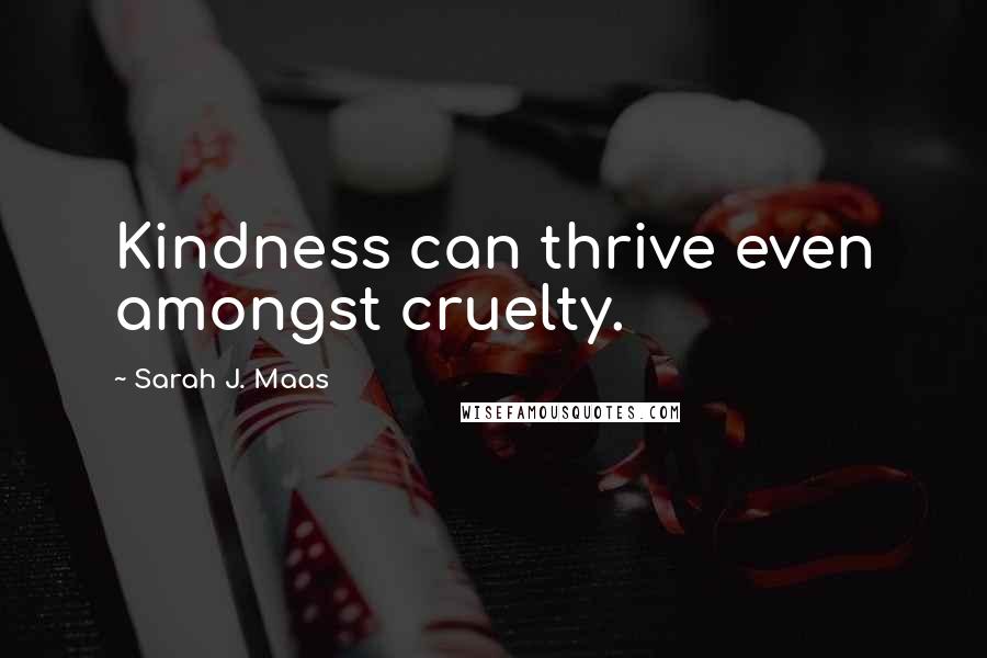 Sarah J. Maas Quotes: Kindness can thrive even amongst cruelty.