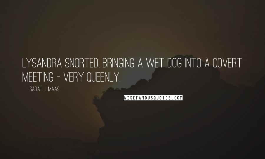 Sarah J. Maas Quotes: Lysandra snorted. Bringing a wet dog into a covert meeting - very queenly.