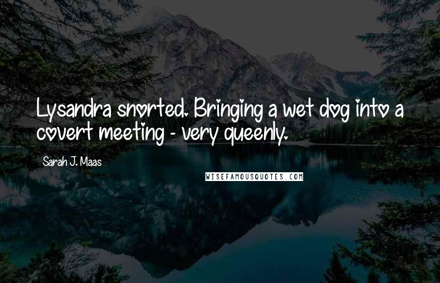 Sarah J. Maas Quotes: Lysandra snorted. Bringing a wet dog into a covert meeting - very queenly.