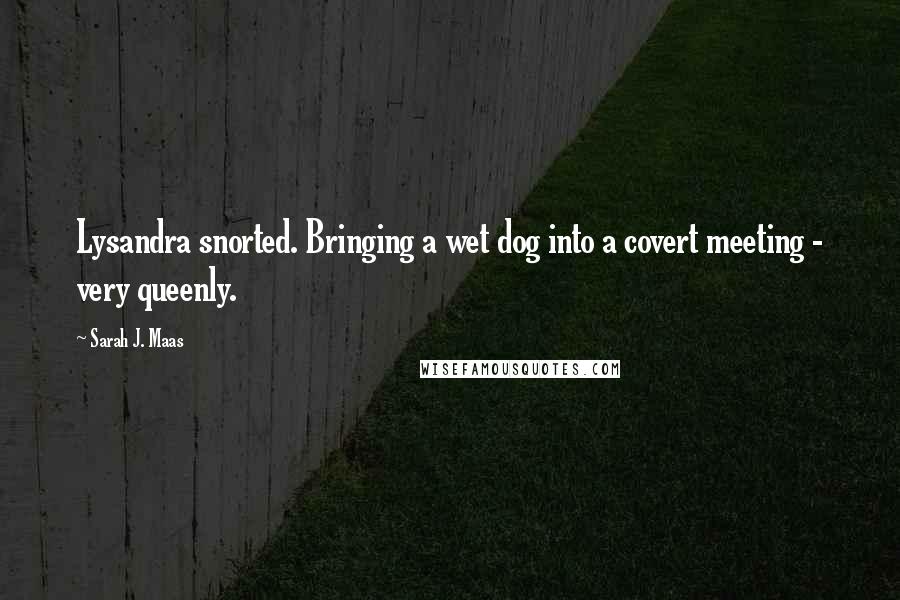 Sarah J. Maas Quotes: Lysandra snorted. Bringing a wet dog into a covert meeting - very queenly.