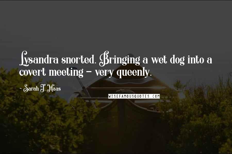 Sarah J. Maas Quotes: Lysandra snorted. Bringing a wet dog into a covert meeting - very queenly.