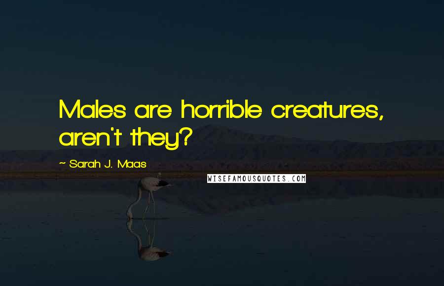 Sarah J. Maas Quotes: Males are horrible creatures, aren't they?