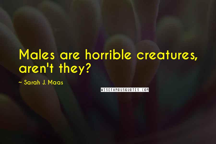 Sarah J. Maas Quotes: Males are horrible creatures, aren't they?
