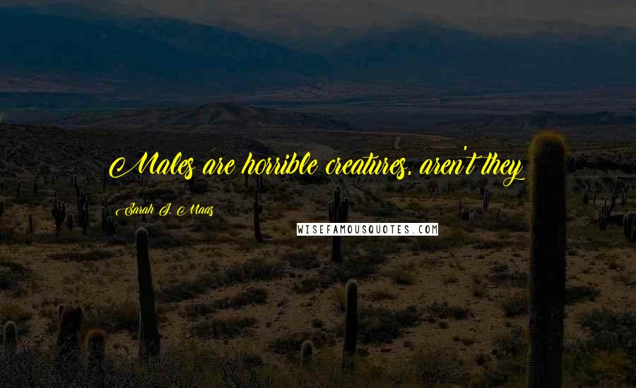 Sarah J. Maas Quotes: Males are horrible creatures, aren't they?