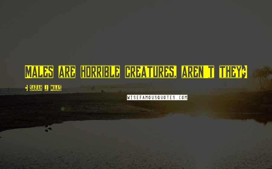Sarah J. Maas Quotes: Males are horrible creatures, aren't they?