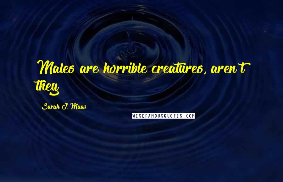 Sarah J. Maas Quotes: Males are horrible creatures, aren't they?