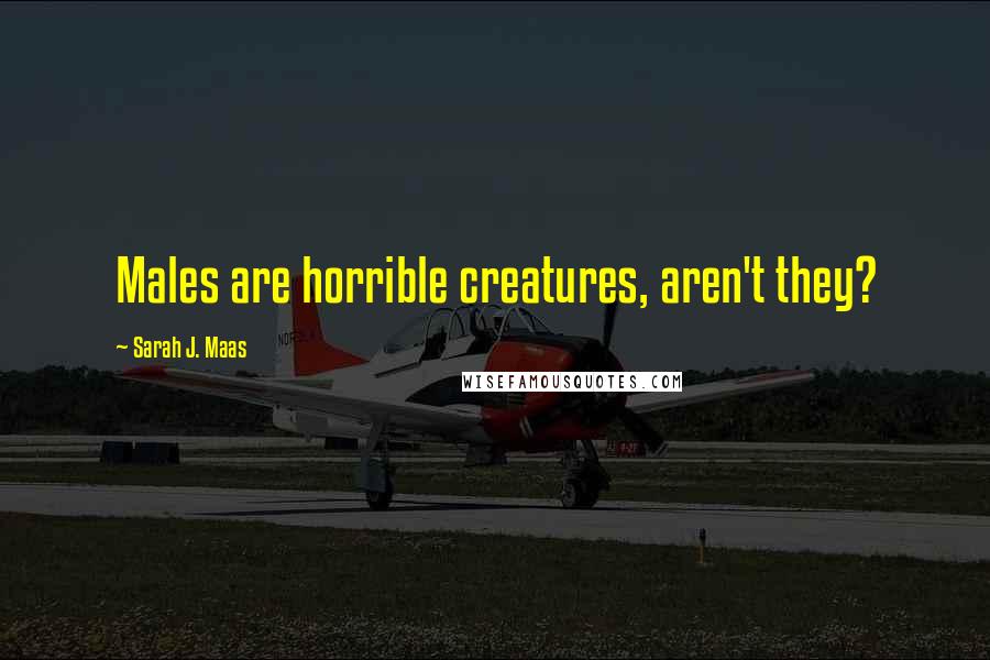 Sarah J. Maas Quotes: Males are horrible creatures, aren't they?