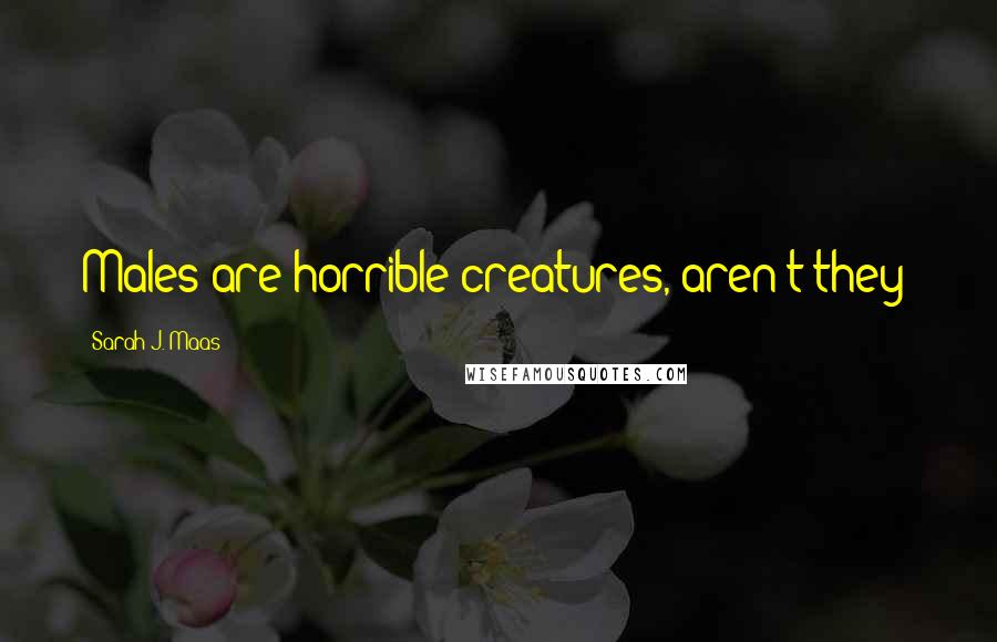 Sarah J. Maas Quotes: Males are horrible creatures, aren't they?