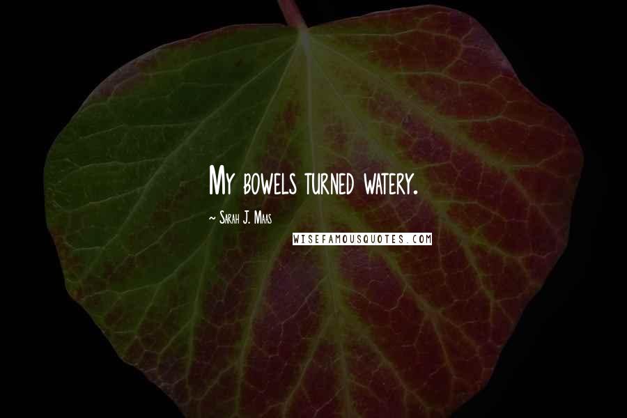 Sarah J. Maas Quotes: My bowels turned watery.