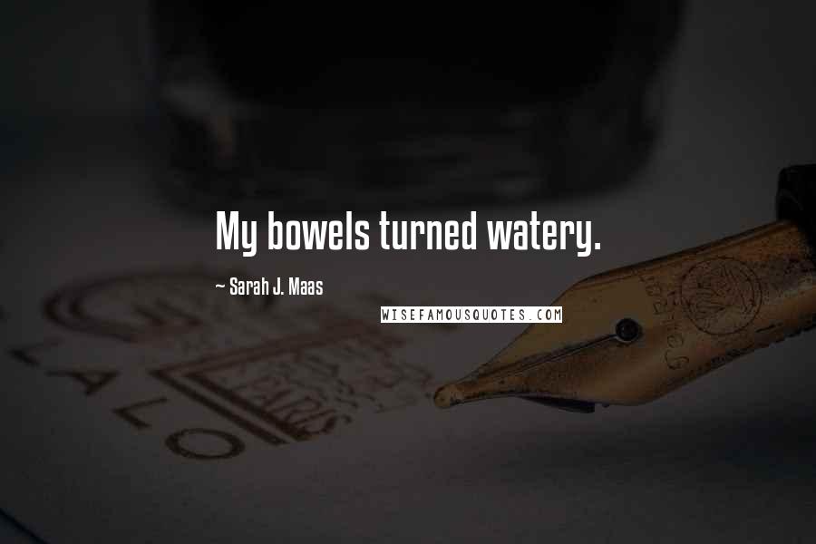 Sarah J. Maas Quotes: My bowels turned watery.